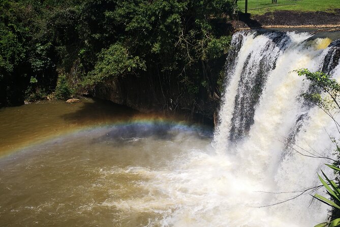 Cairns to Heberton Historic Village and Paronella Day Trip  - Cairns & the Tropical North - Pricing Details