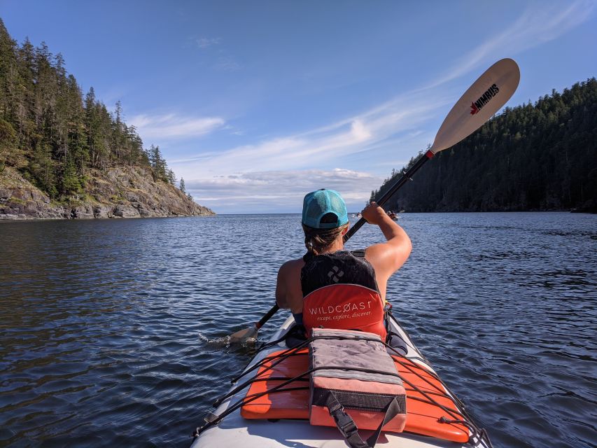 Campbell River: Kayaking and Whale Watching Tour - Wildlife Encounters