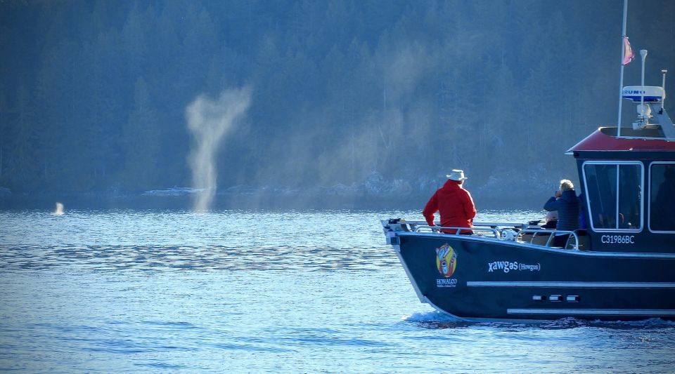 Campbell River: Salish Sea Whale Watching Adventure - Full Description