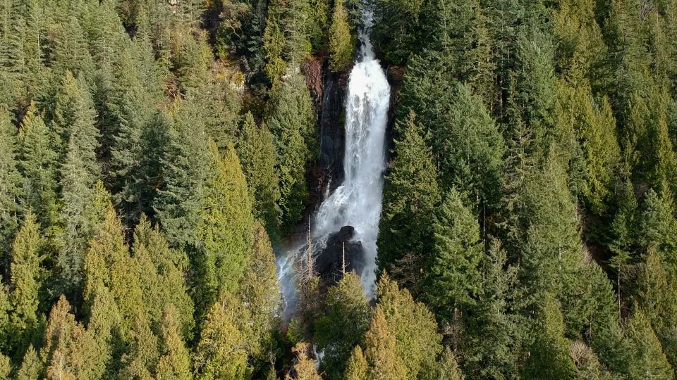 Campbell River: Waterfall and Wildlife Guided Boat Tour - Live Guide and Small Group Limit