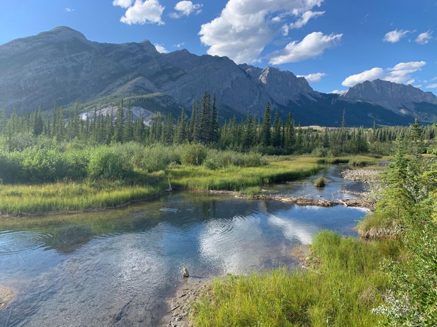 Canmore: NEW - Famous Mountains / Photo Safari Drive - 4hrs - Movie Locations