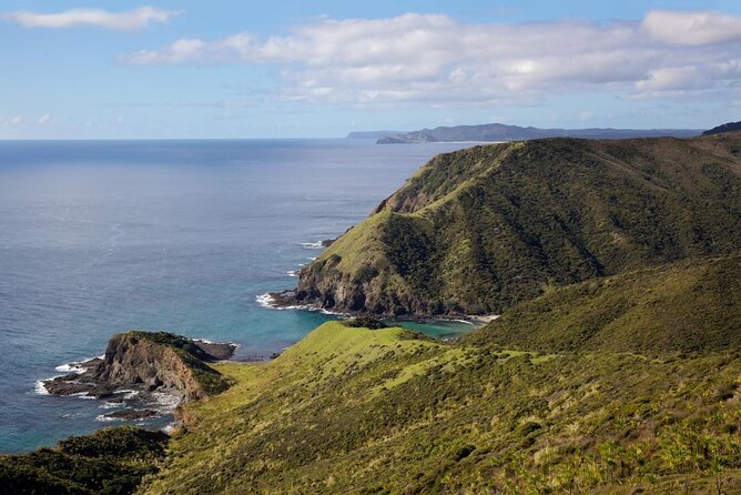 Cape Reinga Half-Day Tour Including Scenic Flight - Logistics and Pickup Information