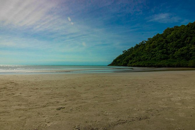 Cape Tribulation Day Tour - Reviews and Recommendations