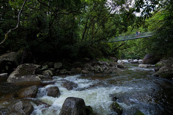 Cape Tribulation, Mossman Gorge and Daintree Rainforest Day Tour - Tour Guide Appreciation