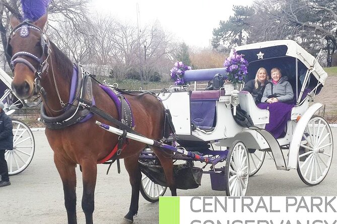 Carriage Ride in Central Park (VIP - PRIVATE) Since 1964 - Meeting and Pickup Information