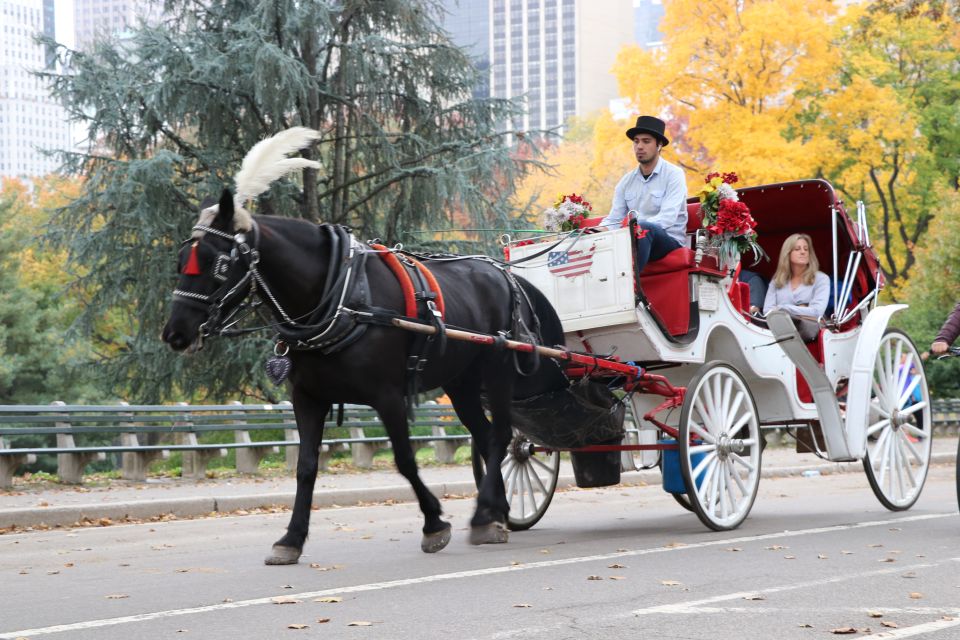 Carriage Ride To/From Tavern on the Green (Up to 4 Adults) - Important Information
