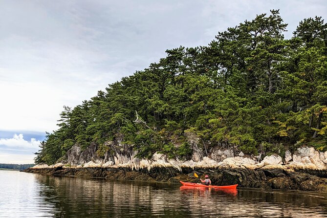 Casco Bay Half-Day Sea Kayak Tour - Additional Information