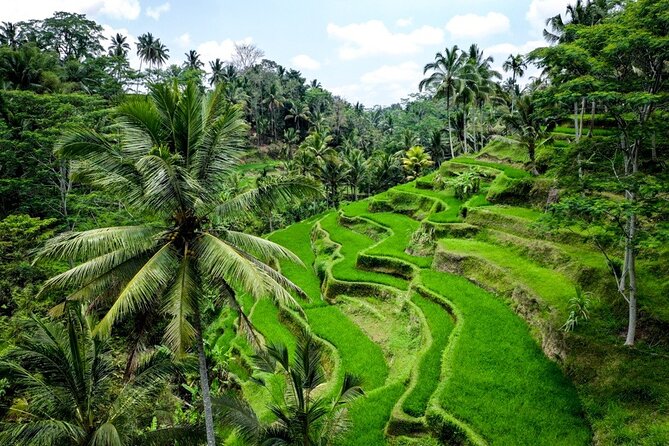 Central Bali Tour: Ubud Village, Kintamani Volcano, and Waterfall - Discovering the Waterfall