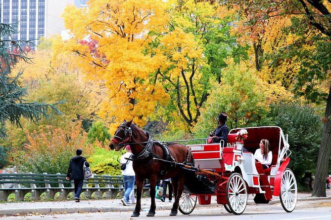 Central Park Horse Carriage Ride Short Loop (Up to 4 Adults)) - Additional Information