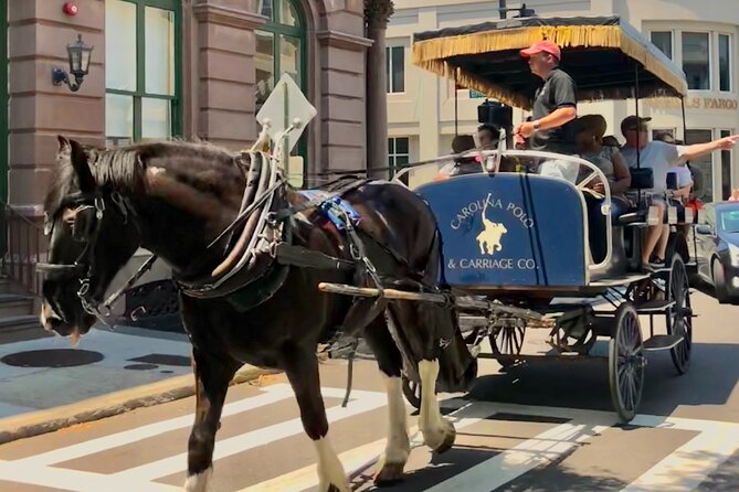Charleston Horse & Carriage Historic Sightseeing Tour - Traveler Reviews