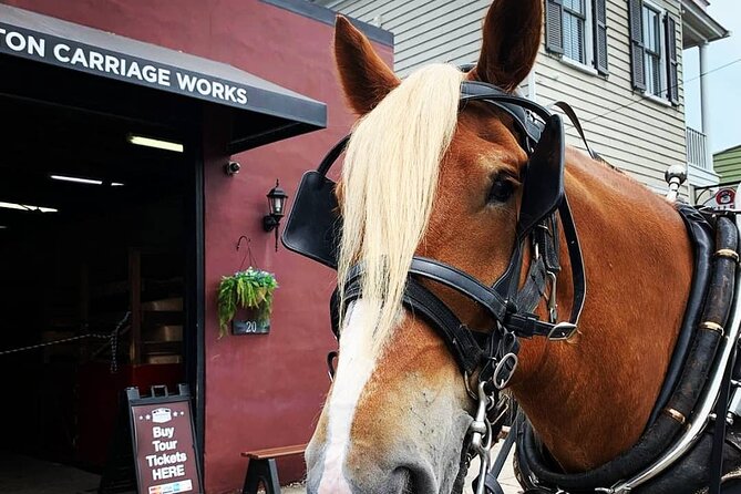 Charlestons Historic Residential Horse and Carriage Tour - Logistics