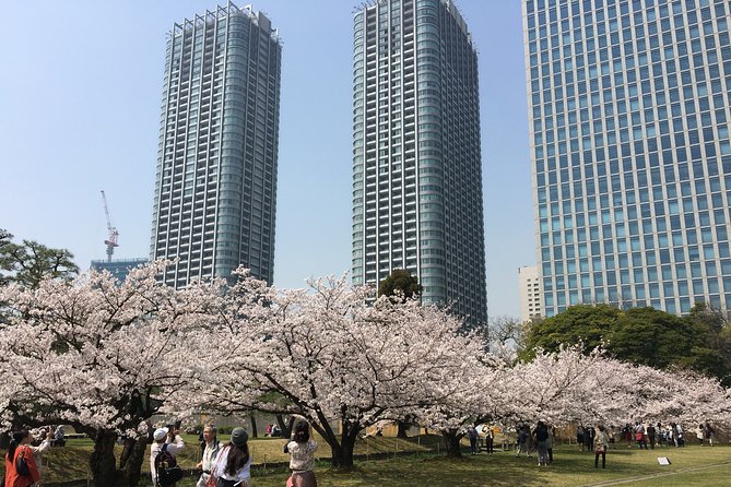 Cherry Blossom Tour in Tokyo - Pricing Breakdown