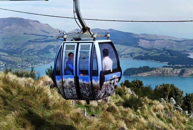 Christchurch Gondola Ride Ticket - Traveler Feedback