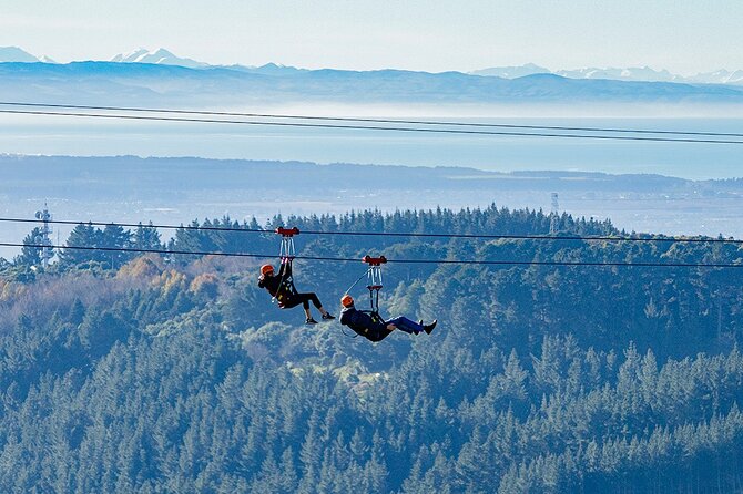 Christchurch Zipline Tour - Traveler Reviews