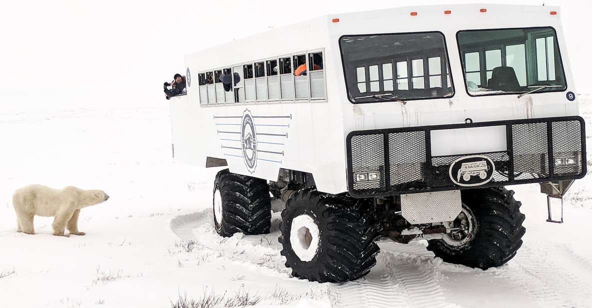 Churchill: Exclusive Tundra Buggy Day Trip - Logistics Information