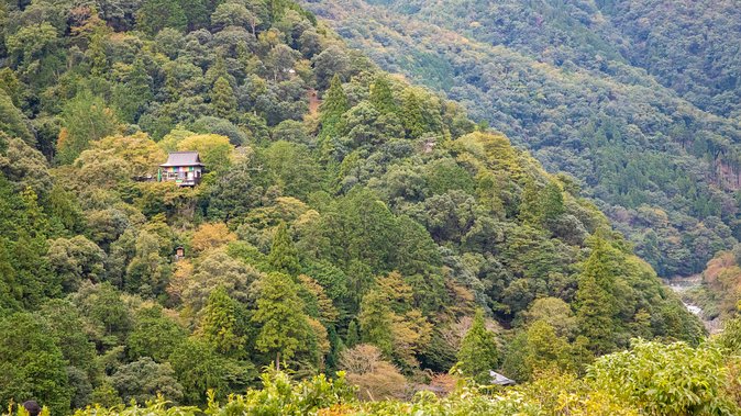 City Escape: Arashiyama Park Private Day Trip - Exclusions and Group Size Consideration