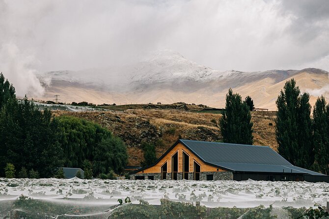 Classic Central Otago Wine Tasting Experience - Wine Tasting Experience Options