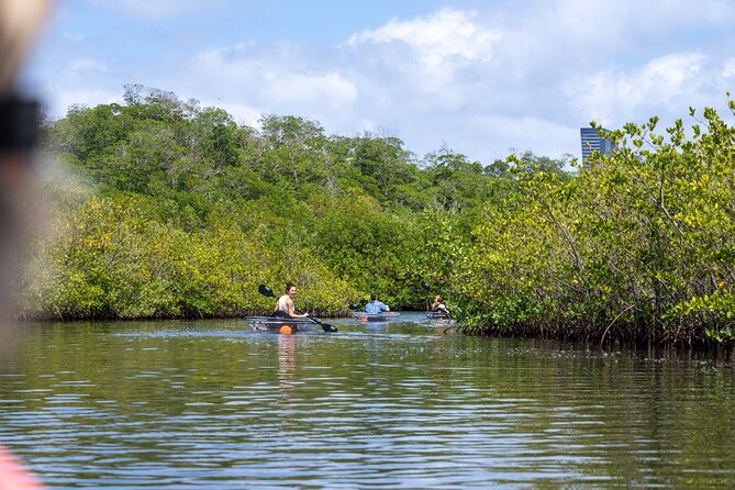 Clear Kayak Tour in North Miami Beach - Mangrove Tunnels - Common questions