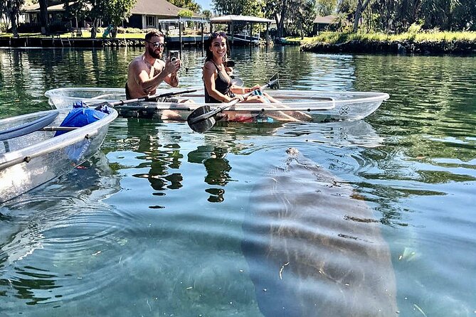 Clear Kayak Tour of Crystal River - Experience Details