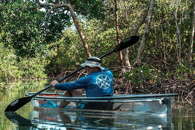 Clear Kayak Tours in Fort Pierce - Key Points