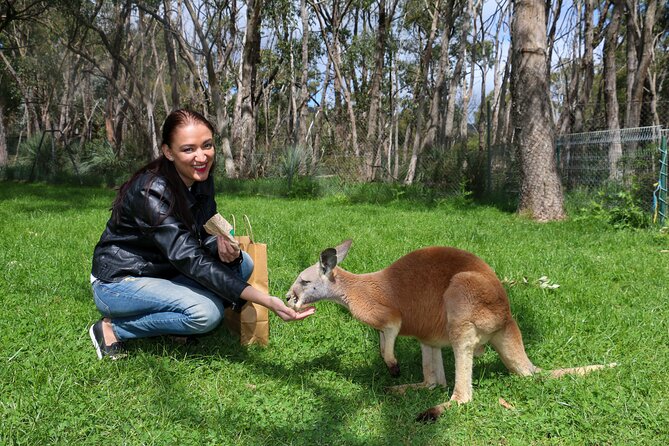 Cleland Wildlife Park Experience - From Adelaide Including Mt Lofty Summit - Tour Guide and Staff