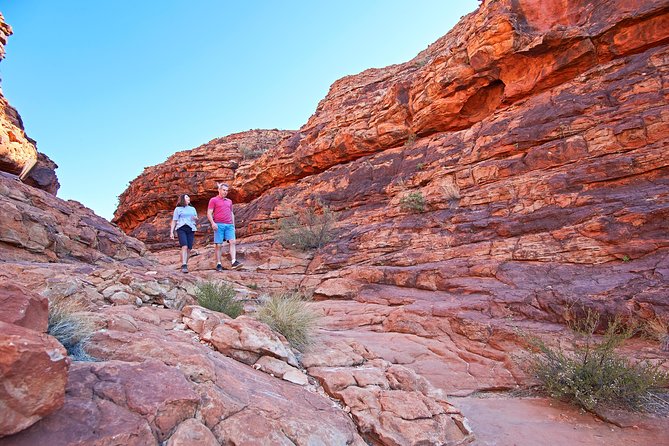Coach Transfer From Kings Canyon to Alice Springs - Reviews
