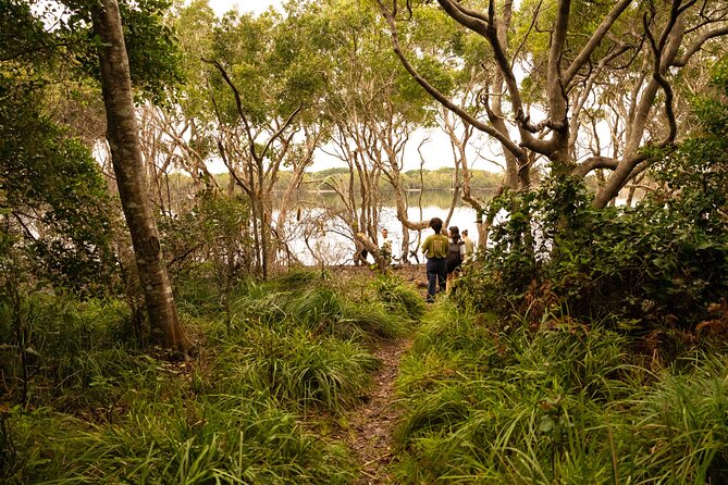 Coastal Nature Full-Day Walking Tour in Lennox Head - What to Bring