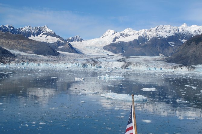Columbia Glacier Cruise From Valdez - Wildlife Spotting Opportunities