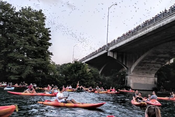 Congress Avenue Bat Bridge Kayak Tour in Austin - Traveler Feedback and Reviews
