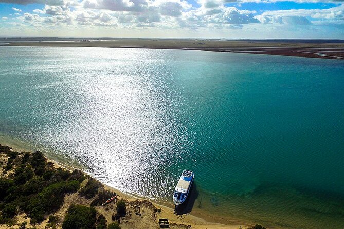 Coorong 3.5-Hour Discovery Cruise - Historical Insights Shared