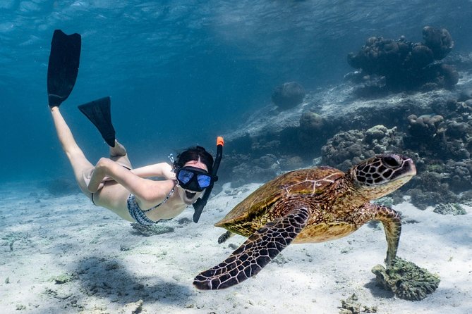 Coral Bay 3-Hour Turtle Ecotour - Common questions