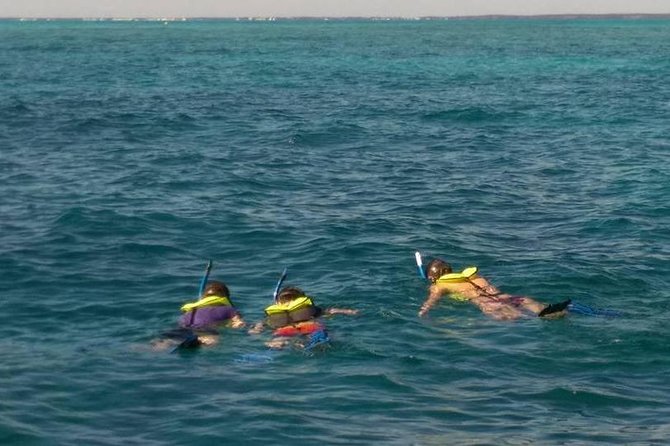 Coral Reef Private Snorkel Tour Out to John Pennekamp Coral Reef State Park - Experience Highlights