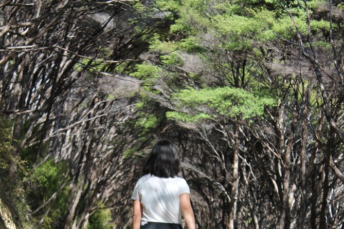 Coromandel Coastal Walkway: Full-Day Hike and Bike Tour - Traveler Photos