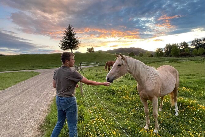 Country Experience at Mohaka River Farm - Cancellation Policy