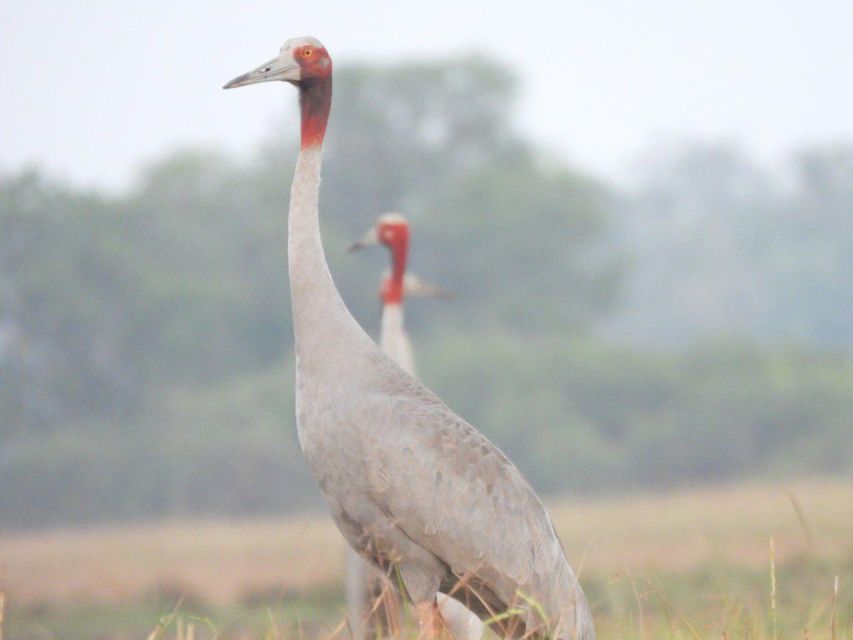 CRANES OF THE MEKONG by Discovery Center, Kep West - Inclusions