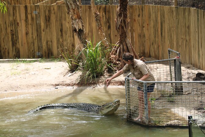 Croc and Wildlife Park Tour With Transfers From Cairns  - Cairns & the Tropical North - Reviews and Ratings