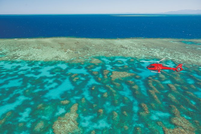 Cruise to Outer Reef - Cruise Return Plus 10 Minute Scenic Flight - Booking and Cancellation Policies