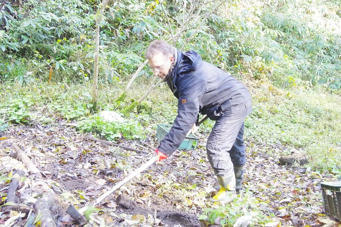 Cultivate Organic WASABI - Hands-On Experience in Wasabi Cultivation