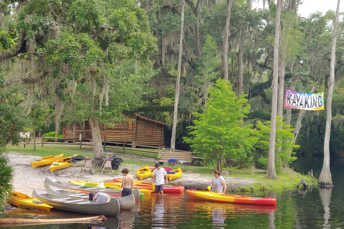Cypress Forest Guided Kayak Nature Eco-Tour - Environmental Impact & Customer Satisfaction