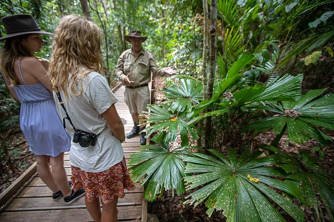 Daintree Rainforest, Cape Tribulation and Bloomfield Track Tour - Customer Reviews and Feedback