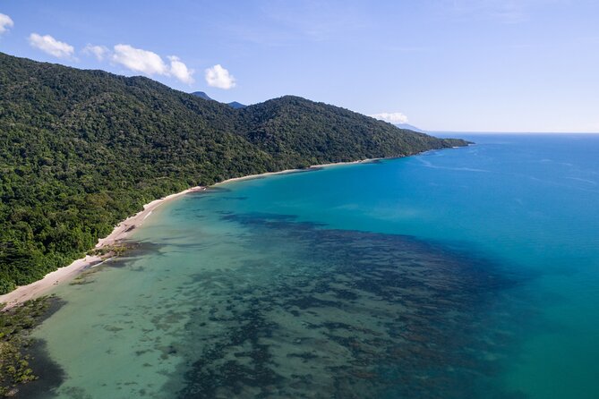 Daintree Rainforest Waterfall and Beach Hiking Day Tour  - Port Douglas - Booking Information