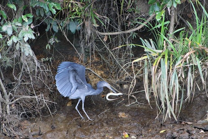 Daintree River Cruise - Cancellation Policy