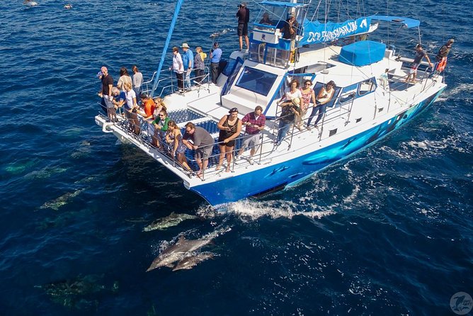 Dana Point Dolphin and Whale Watching Eco-Safari - Cancellation Policy Details