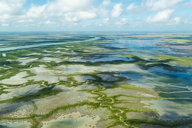 Darwin to Kakadu Day Trip by Air Including Yellow Water Cruise - Cancellation Policy and Traveler Satisfaction