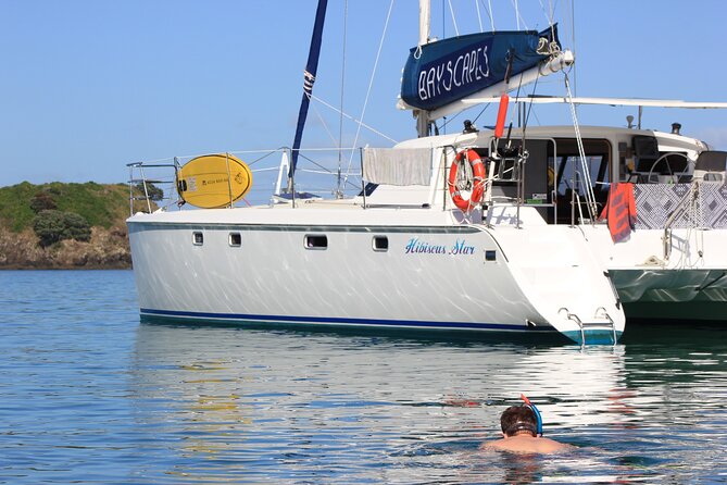 Day Sailing Catamaran Charter With Island Stop and Lunch - Online Resources and Communication