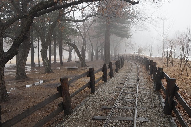 Day Tour to Gangchon Rail Bike Nami Island and Petite France - Pricing Details and Variations