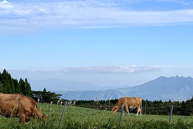 Day Trip Charter Bus Tour to Great Nature Mt.Aso From Fukuoka - Booking and Pricing Details