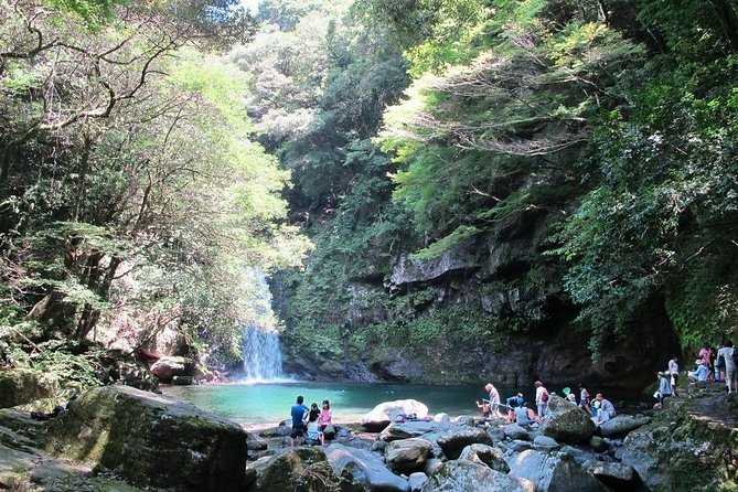 Day Trip Charter Bus Tour to Waterfall & Nagasaki From Fukuoka - Additional Reminders & Information