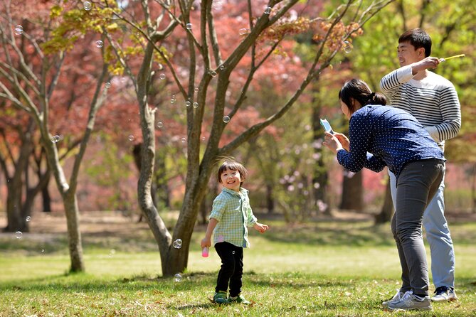 Day Trip to Nami Island With Rail Bike and the Garden of Morning Calm - Well-Organized Tour Experience