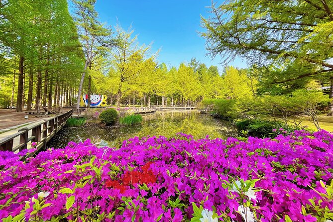 Day Trip to Nami Island With the Garden of Morning Calm - Photo Highlights